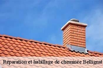 Réparation et habillage de cheminée  bellignat-01810 