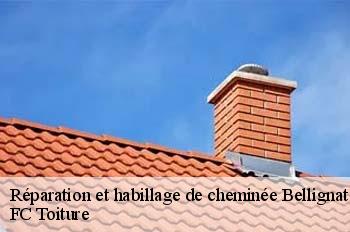 Réparation et habillage de cheminée  bellignat-01810 FC Toiture
