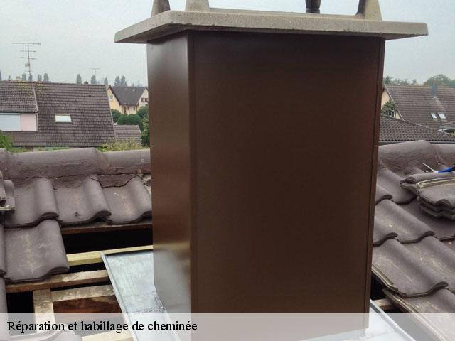 Réparation et habillage de cheminée  belmont-luthezieu-01260 