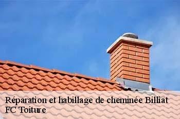 Réparation et habillage de cheminée  billiat-01200 FC Toiture