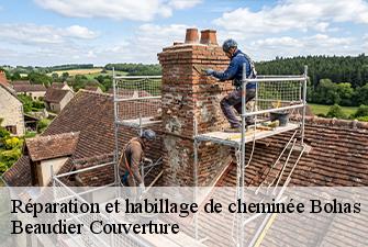 Réparation et habillage de cheminée  bohas-01250 Beaudier Couverture 
