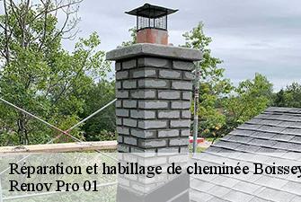 Réparation et habillage de cheminée  boissey-01190 Renov Pro 01