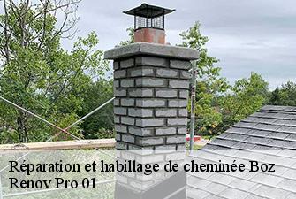 Réparation et habillage de cheminée  boz-01190 Renov Pro 01