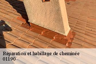 Réparation et habillage de cheminée  boz-01190 Renov Pro 01