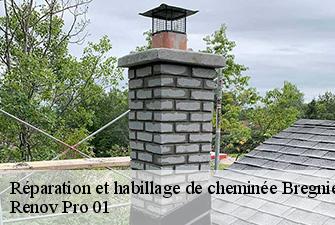 Réparation et habillage de cheminée  bregnier-cordon-01300 Renov Pro 01