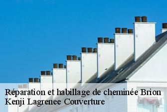 Réparation et habillage de cheminée brion-01460 Kenji Lagrenee Couverture