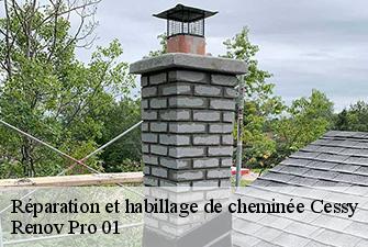 Réparation et habillage de cheminée  cessy-01170 Renov Pro 01