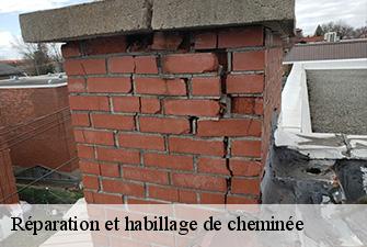 Réparation et habillage de cheminée  confrancon-01310 Renov Pro 01