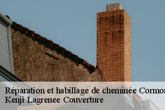 Réparation et habillage de cheminée cormoranche-sur-saone-01290 Kenji Lagrenee Couverture