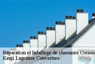 Réparation et habillage de cheminée cormoranche-sur-saone-01290 Kenji Lagrenee Couverture