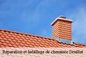 Réparation et habillage de cheminée  druillat-01160 