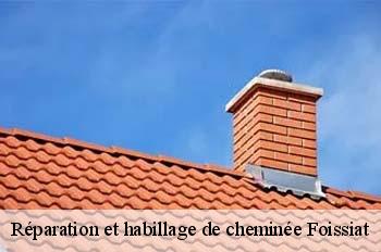 Réparation et habillage de cheminée  foissiat-01340 