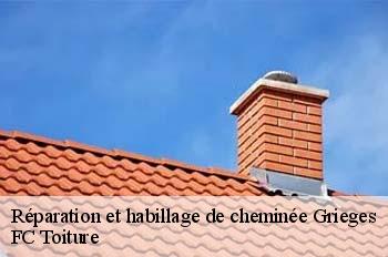 Réparation et habillage de cheminée  grieges-01290 FC Toiture