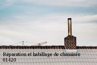 Réparation et habillage de cheminée  lhopital-01420 Kenji Lagrenee Couverture