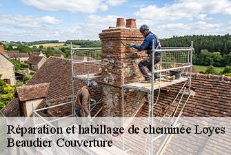 Réparation et habillage de cheminée  loyes-01800 Beaudier Couverture 