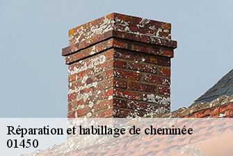 Réparation et habillage de cheminée  merignat-01450 Renov Pro 01