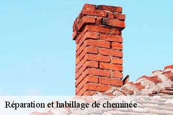Réparation et habillage de cheminée  montreal-la-cluse-01460 