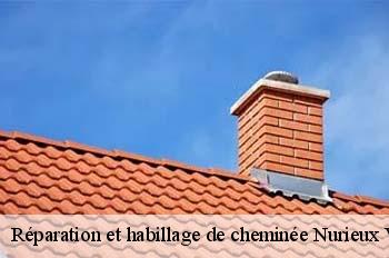 Réparation et habillage de cheminée  nurieux-volognat-01460 