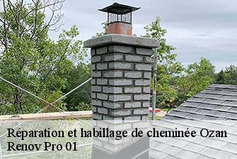 Réparation et habillage de cheminée  ozan-01190 Renov Pro 01