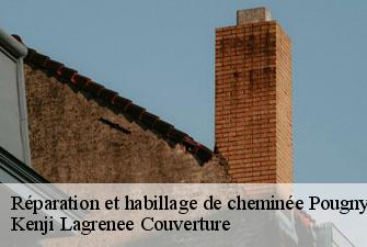 Réparation et habillage de cheminée pougny-01550 Kenji Lagrenee Couverture