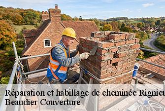 Réparation et habillage de cheminée  rignieux-le-franc-01800 Beaudier Couverture 