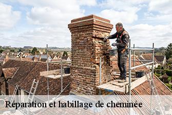 Réparation et habillage de cheminée  romaneche-01250 Beaudier Couverture 