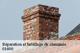 Réparation et habillage de cheminée  sainte-euphemie-01600 Renov Pro 01