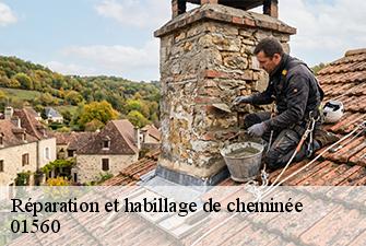 Réparation et habillage de cheminée  saint-julien-sur-reyssouze-01560 Beaudier Couverture 