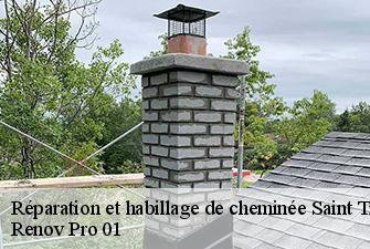 Réparation et habillage de cheminée  saint-trivier-de-courtes-01560 Renov Pro 01