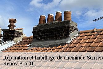 Réparation et habillage de cheminée  serrieres-de-briord-01470 Renov Pro 01