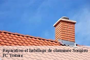 Réparation et habillage de cheminée  songieu-01260 FC Toiture