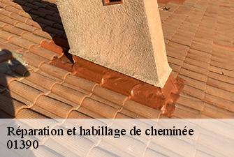 Réparation et habillage de cheminée  tramoyes-01390 Renov Pro 01
