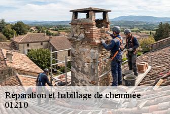 Réparation et habillage de cheminée  versonnex-01210 Beaudier Couverture 