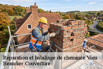 Réparation et habillage de cheminée  vieu-01260 Beaudier Couverture 