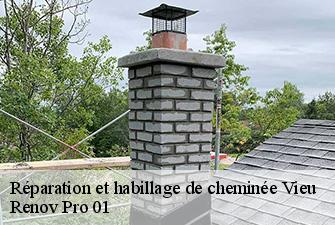 Réparation et habillage de cheminée  vieu-01260 Renov Pro 01