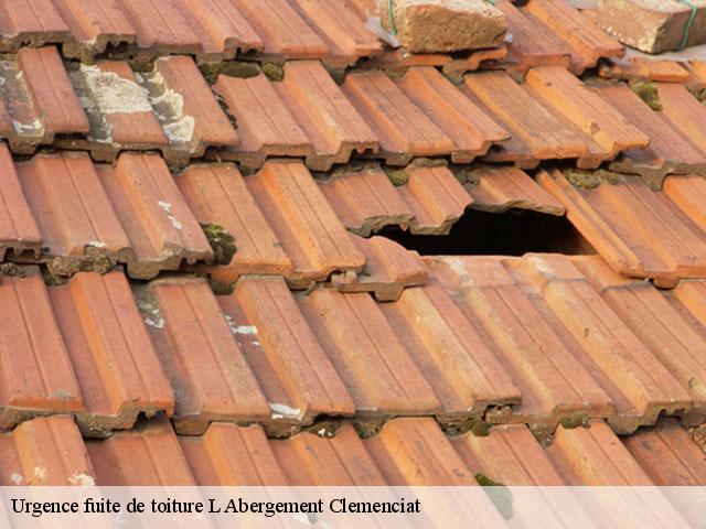 Urgence fuite de toiture  l-abergement-clemenciat-01400 