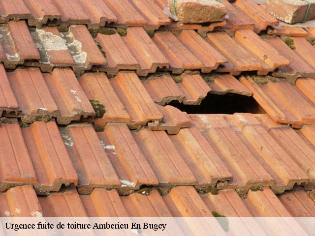 Urgence fuite de toiture  amberieu-en-bugey-01500 