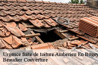 Urgence fuite de toiture  amberieu-en-bugey-01500 Beaudier Couverture 