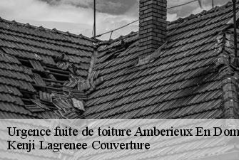 Urgence fuite de toiture  amberieux-en-dombes-01330 Kenji Lagrenee Couverture