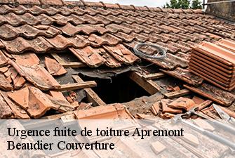 Urgence fuite de toiture  apremont-01100 Beaudier Couverture 