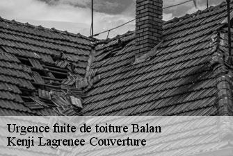 Urgence fuite de toiture  balan-01360 Kenji Lagrenee Couverture