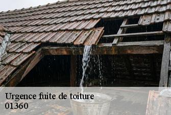Urgence fuite de toiture  balan-01360 Kenji Lagrenee Couverture