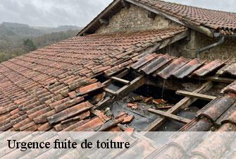Urgence fuite de toiture  balan-01360 Kenji Lagrenee Couverture