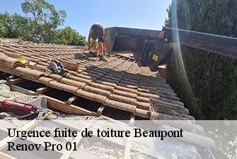 Urgence fuite de toiture  beaupont-01270 Renov Pro 01