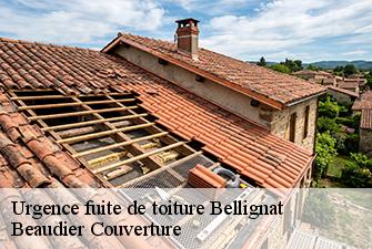 Urgence fuite de toiture  bellignat-01810 Beaudier Couverture 