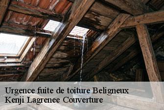 Urgence fuite de toiture beligneux-01360 Kenji Lagrenee Couverture