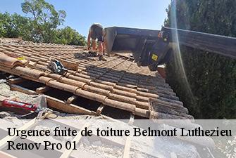 Urgence fuite de toiture  belmont-luthezieu-01260 Renov Pro 01