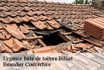 Urgence fuite de toiture  billiat-01200 Beaudier Couverture 
