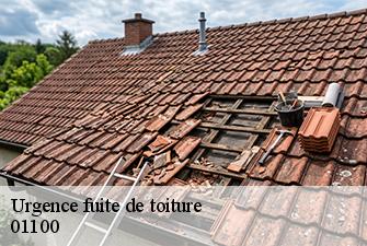 Urgence fuite de toiture  bouvent-01100 Beaudier Couverture 