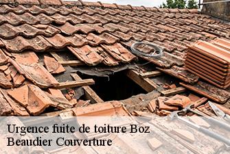 Urgence fuite de toiture  boz-01190 Beaudier Couverture 